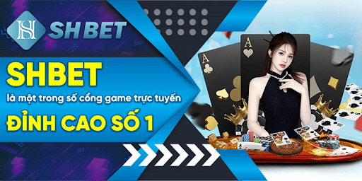 Giới thiệu về casino Shbet